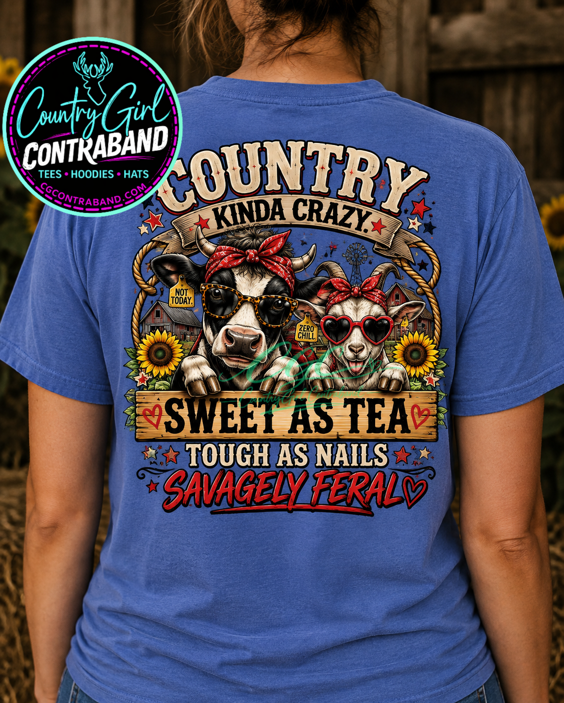 Country Kinda Crazy